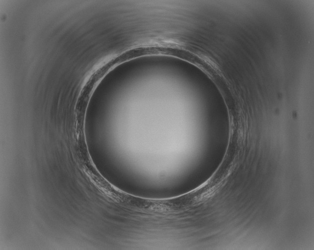 X0000056370974200508291356