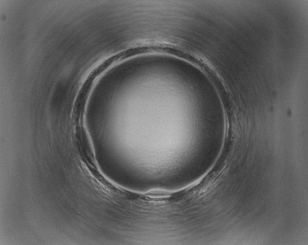 X0000056370975200508291356