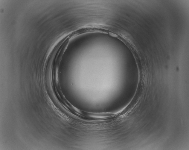 X0000056370976200508291356