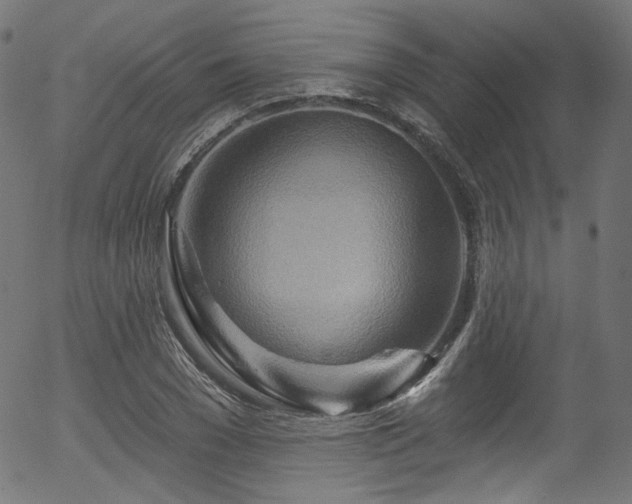 X0000056370977200508291356