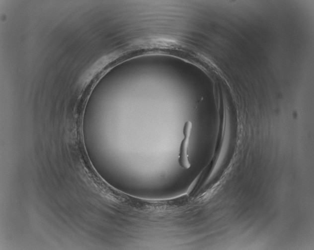 X0000056370978200508291356