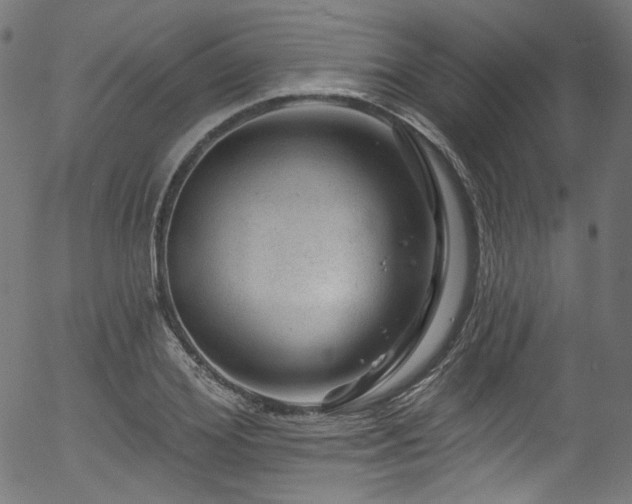 X0000056370980200508291356