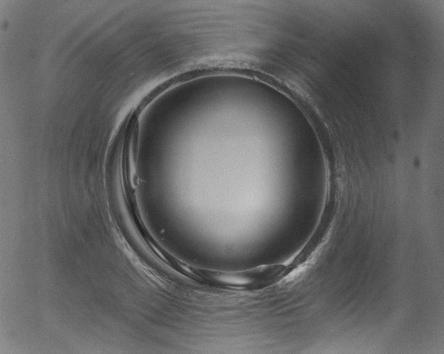 X0000056370981200508291356