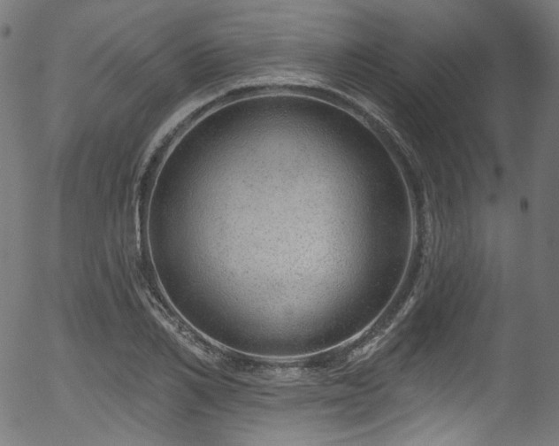 X0000056370982200508291356