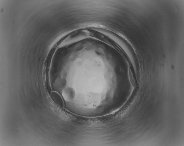 X0000056370983200508291356