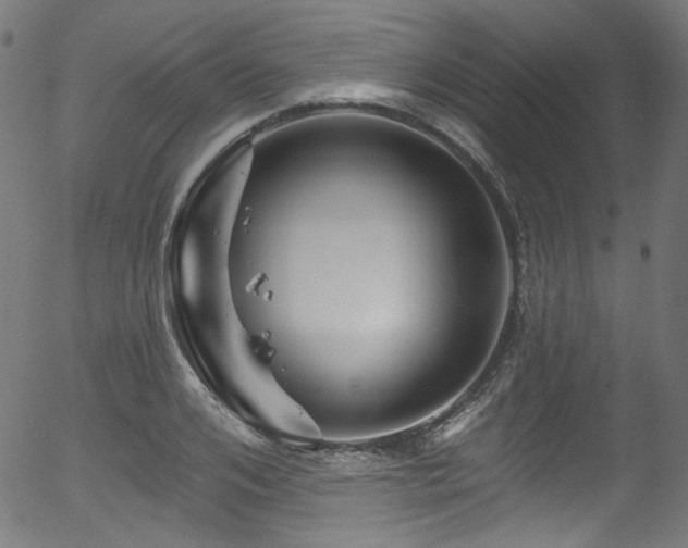 X0000056370984200508291356