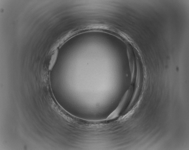 X0000056370985200508291356