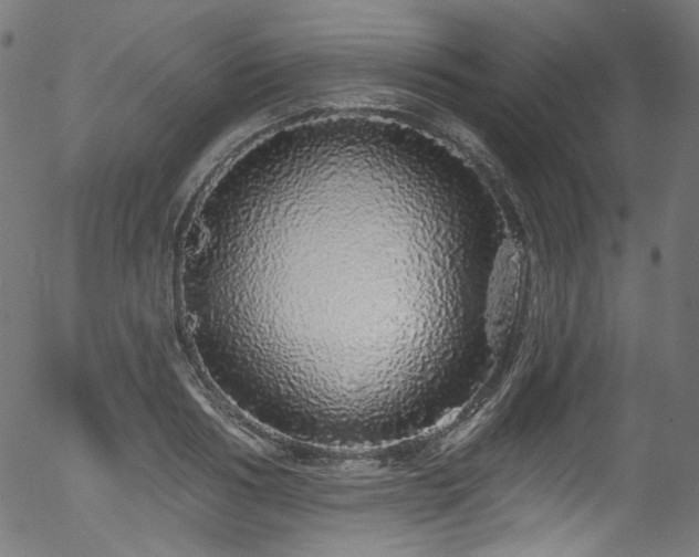 X0000056370986200508291356