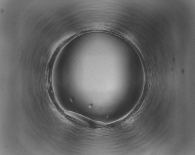 X0000056370987200508291356