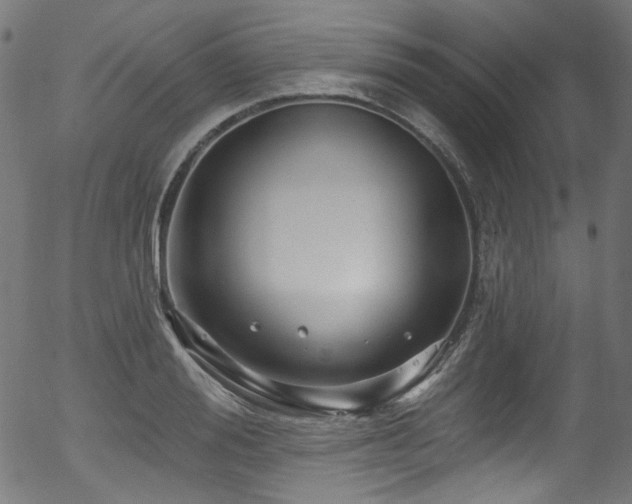 X0000056370988200508291356