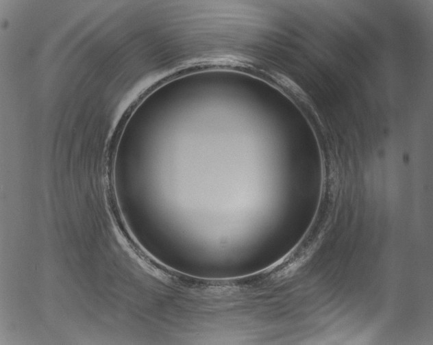 X0000056370989200508291356