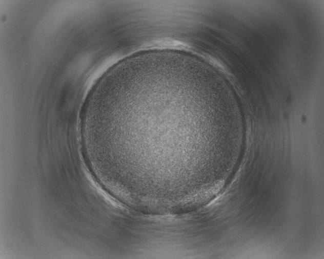 X0000056370990200508291356