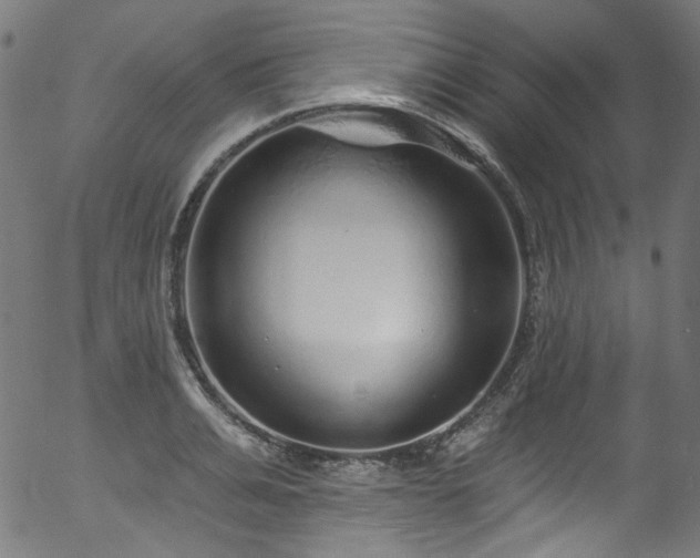 X0000056370991200508291356