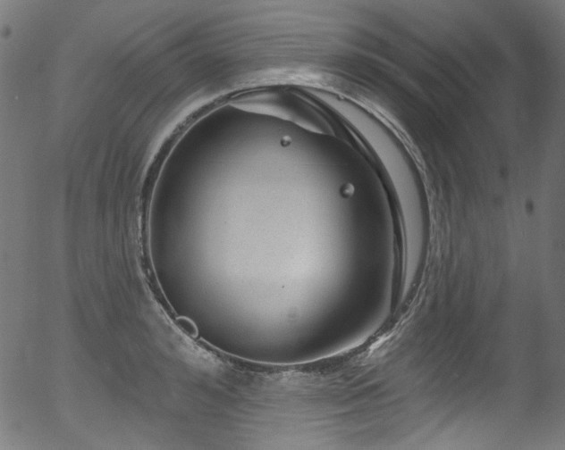 X0000056370992200508291356