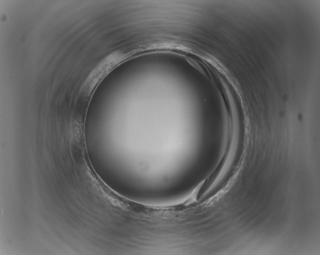 X0000056370993200508291356