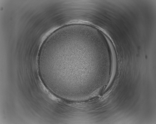 X0000056370995200508291356