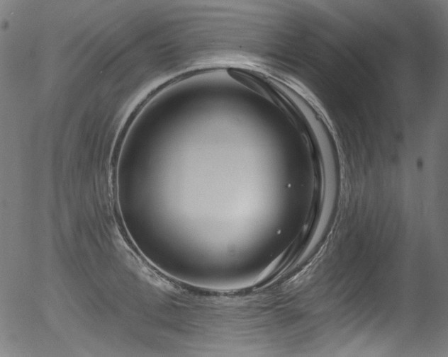 X0000056370996200508291356