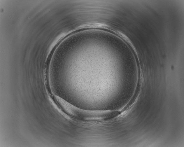 X0000056370997200508291356