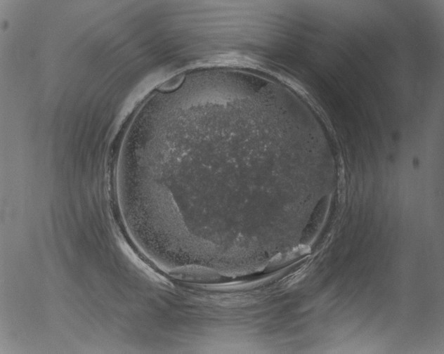 X0000056370998200508291356