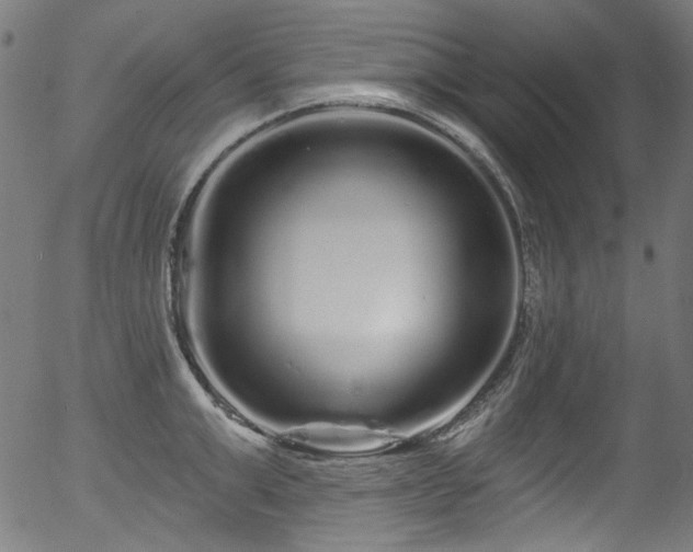 X0000056370999200508291356