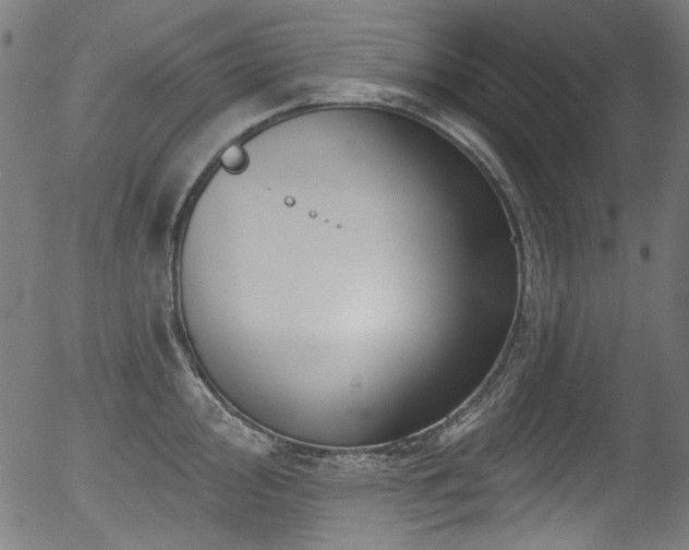 X0000056371000200508291356