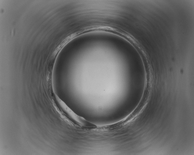 X0000056371001200508291356