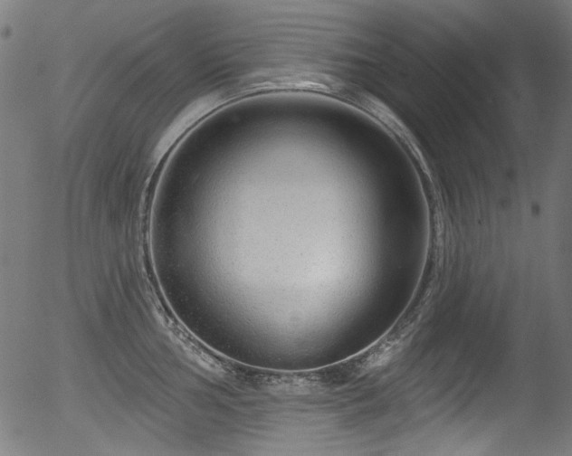 X0000056371002200508291356