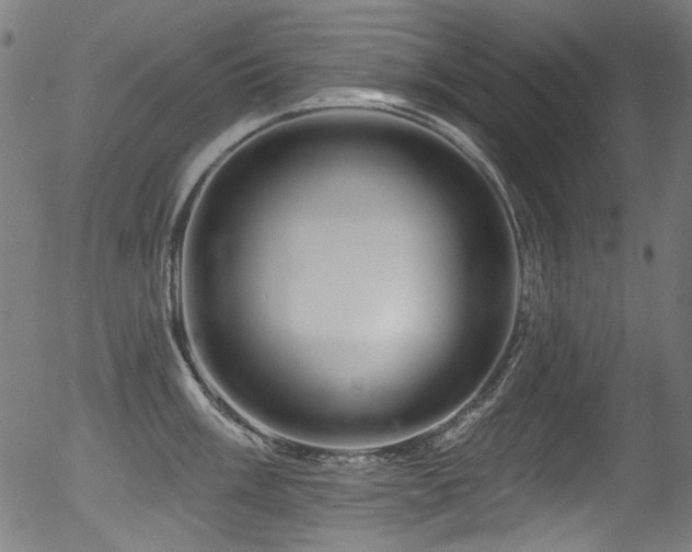 X0000056371003200508291356