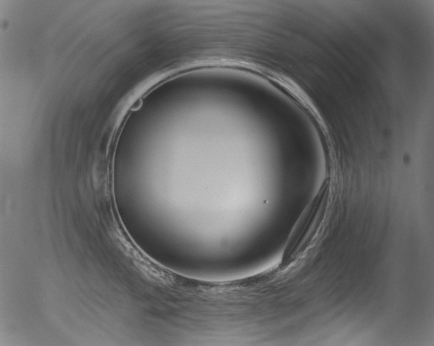 X0000056371004200508291356