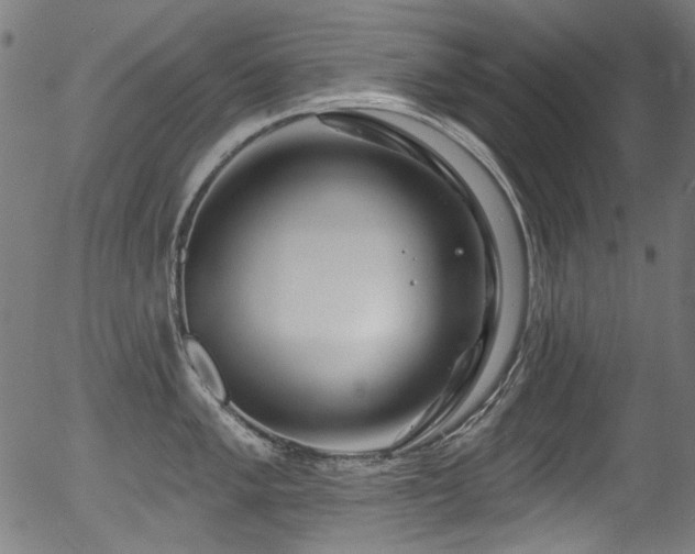 X0000056371005200508291356