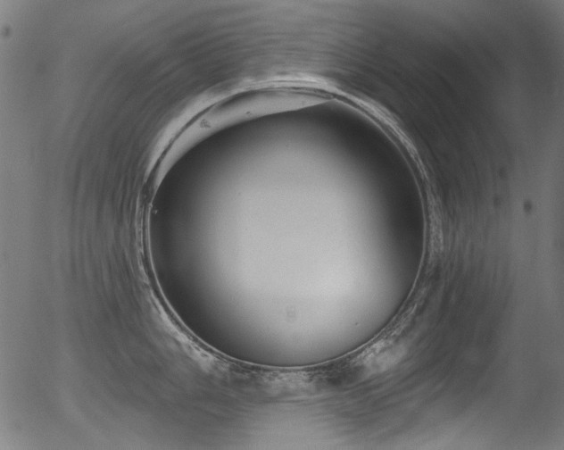 X0000056371006200508291356