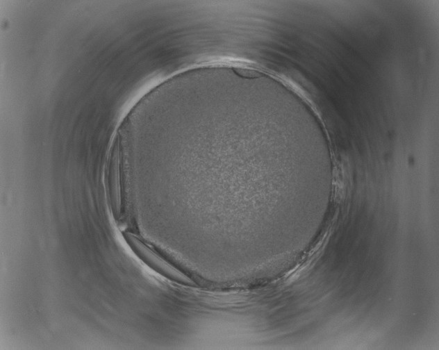 X0000056371007200508291356