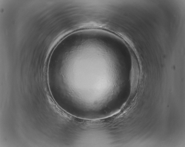 X0000056371008200508291356