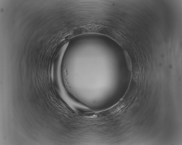 X0000056371010200508291355