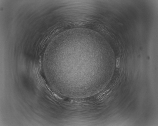 X0000056371011200508291355