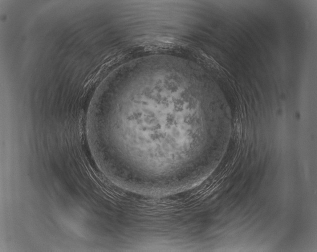 X0000056371012200508291355