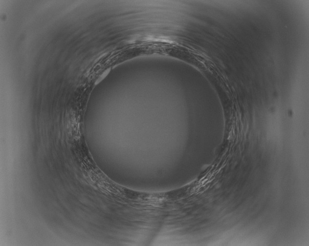 X0000056371013200508291355