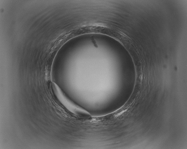 X0000056371014200508291355