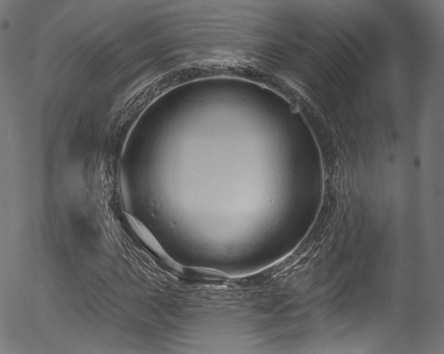 X0000056371015200508291355