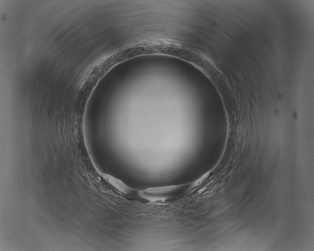 X0000056371016200508291355