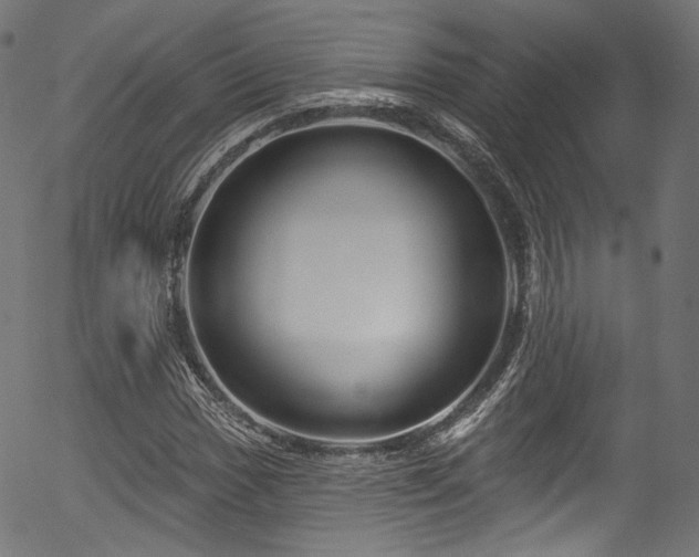 X0000056371017200508291355