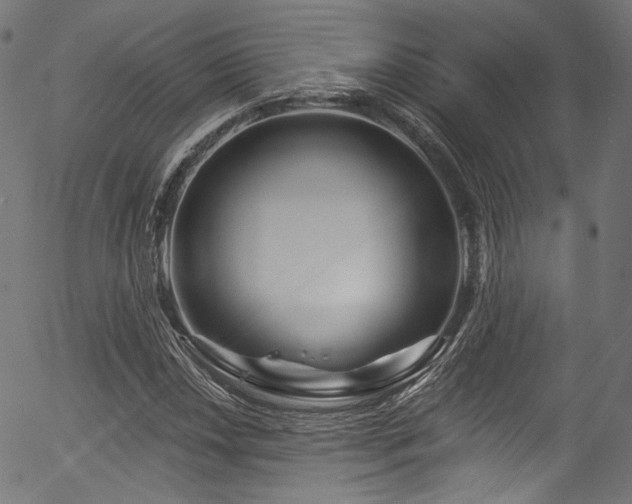 X0000056371018200508291355