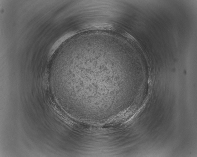 X0000056371019200508291355