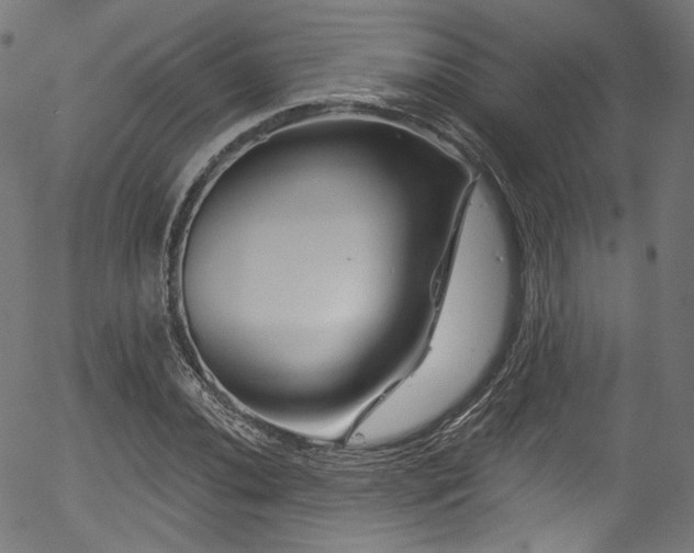 X0000056371020200508291355