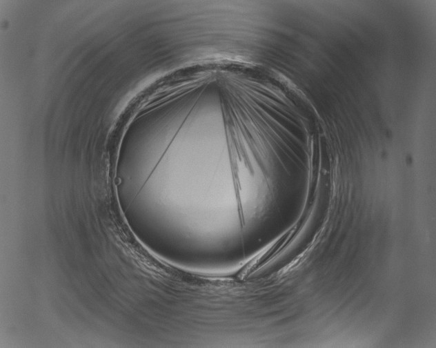X0000056371021200508291355