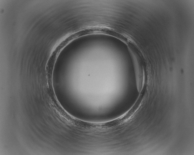 X0000056371022200508291355