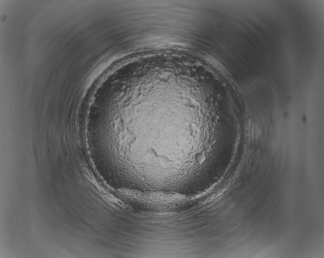 X0000056371023200508291355