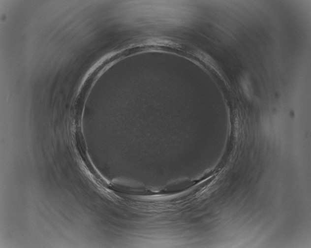 X0000056371024200508291355