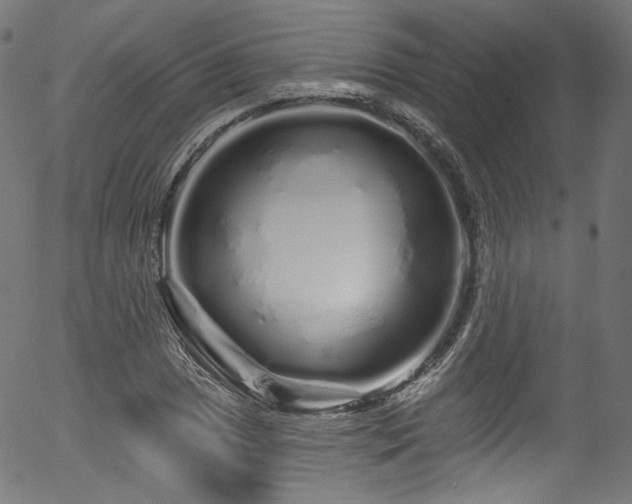 X0000056371025200508291355