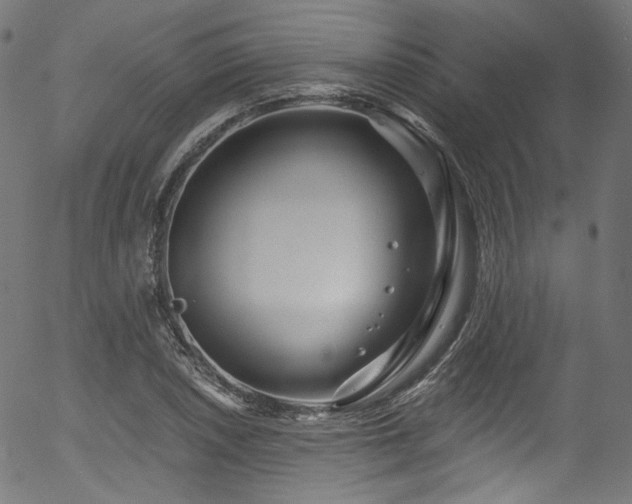 X0000056371026200508291355